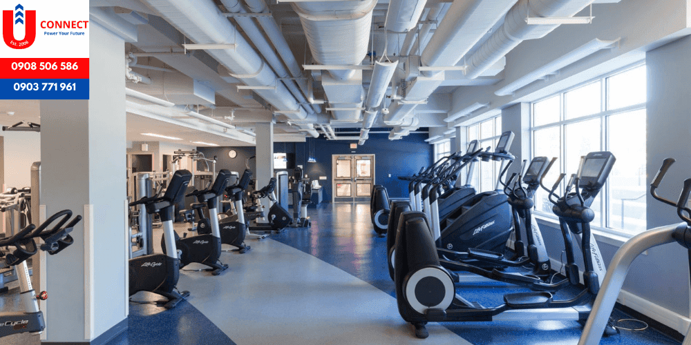 Trường cao đẳng Mercy College, bang New York, Mỹ